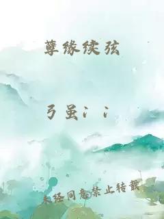 孽缘续弦