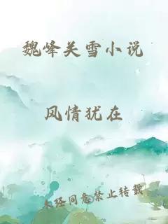 魏峰关雪小说